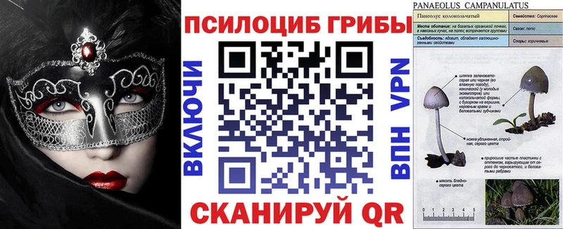 Купить где  Советская Гавань  Псилоцибиновые грибы ЛСД 